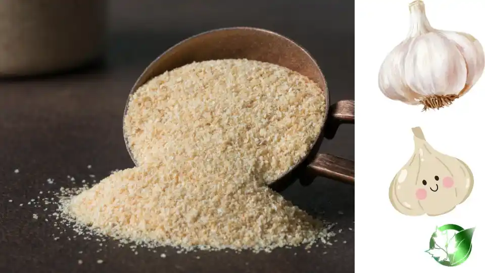 Garlic Powder quality, format, and packaging should be matched to the buyer’s target application.